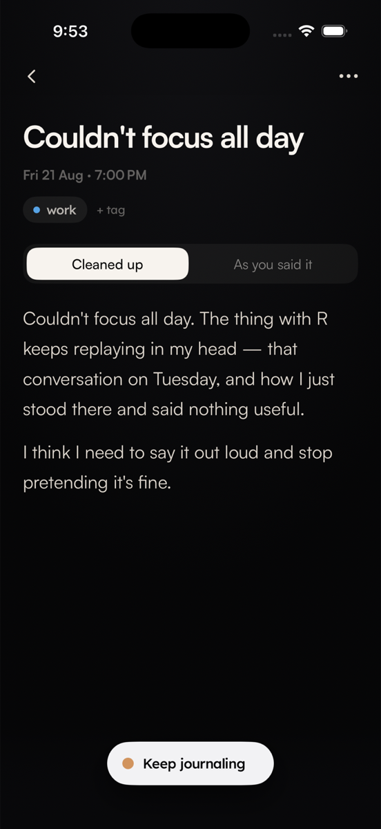 A finished Journo entry with a clear transcript